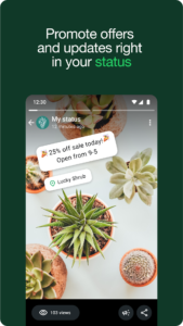 WhatsApp Business 2